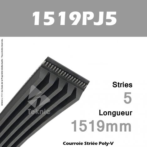 Courroie Poly-V 1519PJ5 - Continental