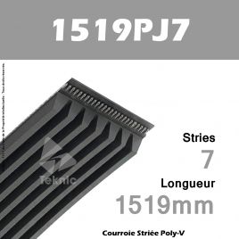 Courroie Poly-V 1519PJ7 - Continental