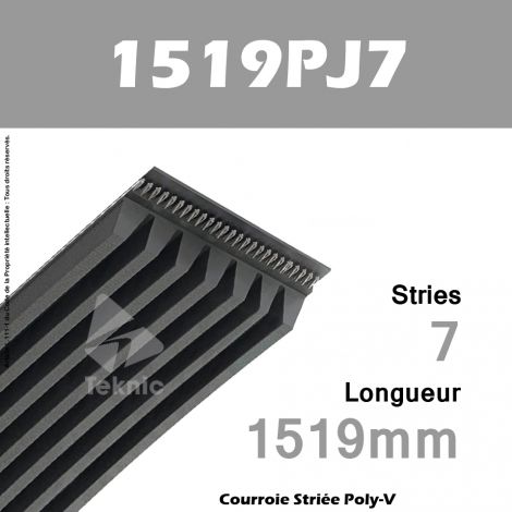 Courroie Poly-V 1519PJ7 - Continental