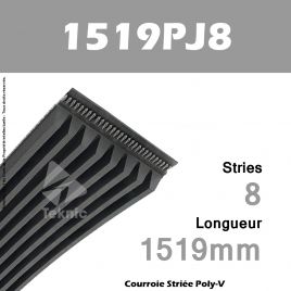 Courroie Poly-V 1519PJ8 - Continental