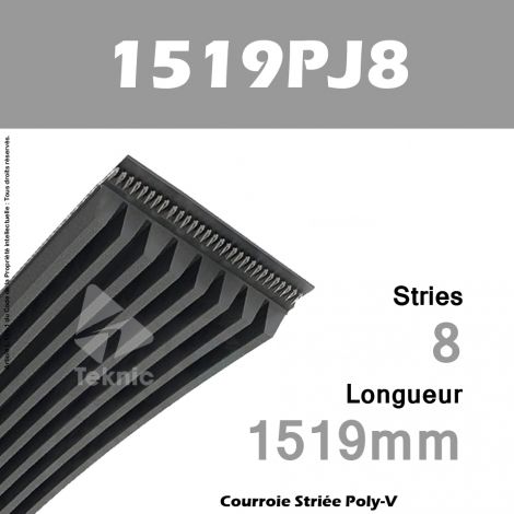 Courroie Poly-V 1519PJ8 - Continental