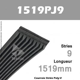 Courroie Poly-V 1519PJ9 - Continental