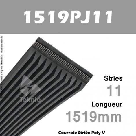 Courroie Poly-V 1519PJ11 - Continental