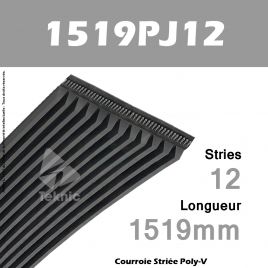 Courroie Poly-V 1519PJ12 - Continental