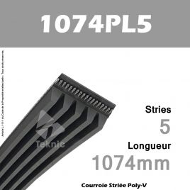 Courroie Poly-V 1074PL5 - Continental