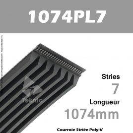 Courroie Poly-V 1074PL7 - Continental