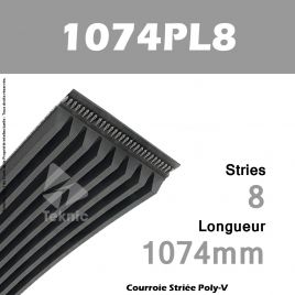 Courroie Poly-V 1074PL8 - Continental