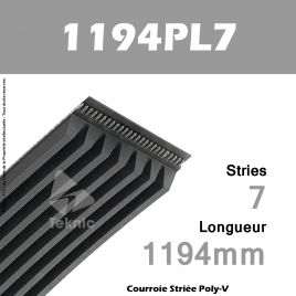 Courroie Poly-V 1194PL7 - Continental