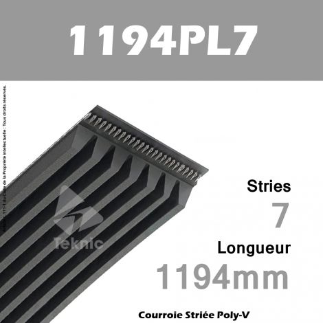 Courroie Poly-V 1194PL7 - Continental