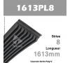 Courroie Poly-V 1613PL8 - Continental