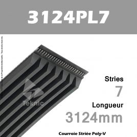 Courroie Poly-V 3124PL7