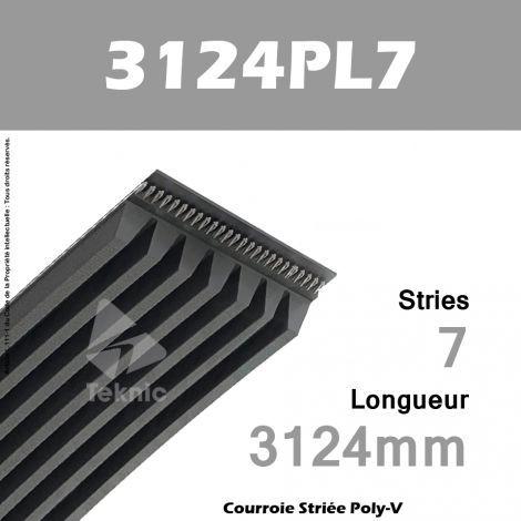 Courroie Poly-V 3124PL7