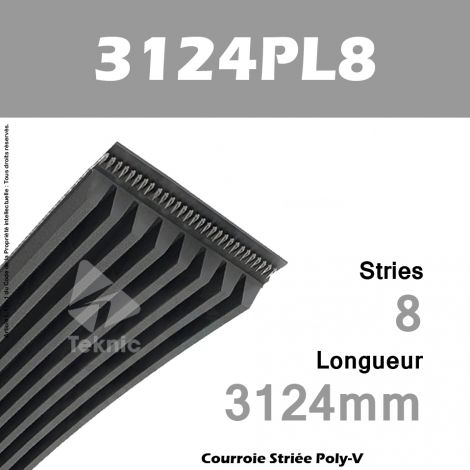 Courroie Poly-V 3124PL8