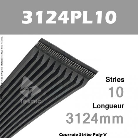 Courroie Poly-V 3124PL10