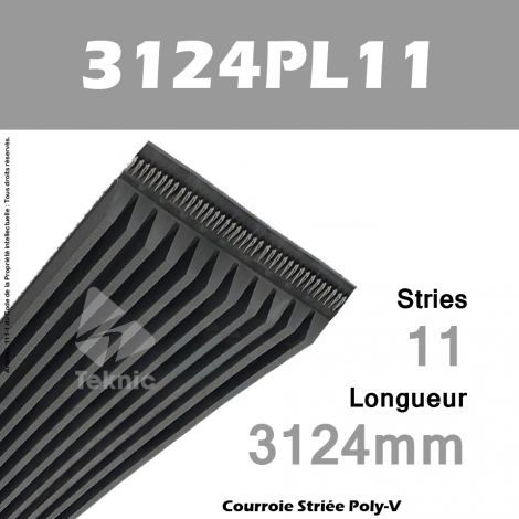 Courroie Poly-V 3124PL11