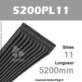 Courroie Poly-V 5200PL11 - Continental