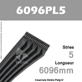 Courroie Poly-V 6096PL5 - Continental
