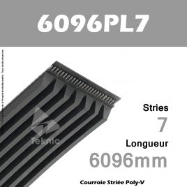 Courroie Poly-V 6096PL7 - Continental