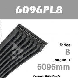 Courroie Poly-V 6096PL8 - Continental