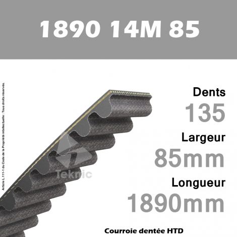 Courroie Dentée 1890 14M 85