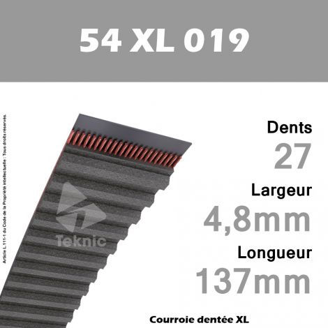 Courroie Dentée 54 XL 019