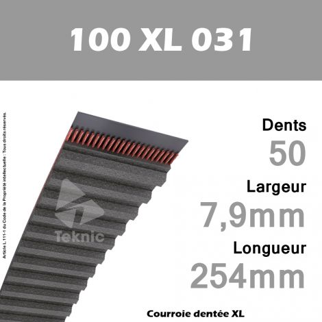 100-xl-031 COURROIE 100xl031 zöllig 50 dents division 5,08mm largeur 7,94mm 