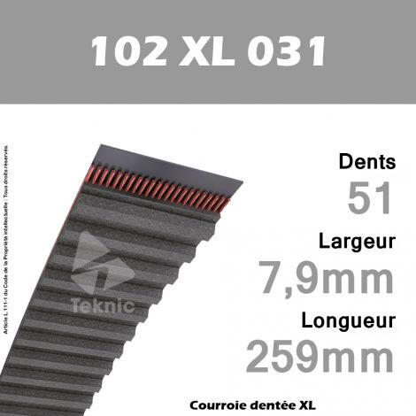 Courroie Dentée 102 XL 031