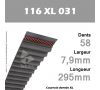 Courroie Dentée 116 XL 031