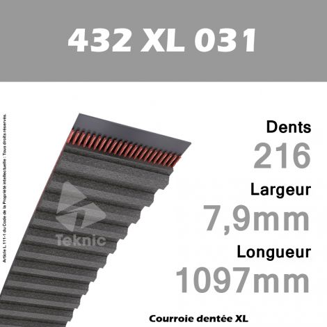 Courroie Dentée 432 XL 031