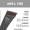 Courroie Dentée 600 L 100