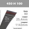 Courroie Dentée 450 H 100