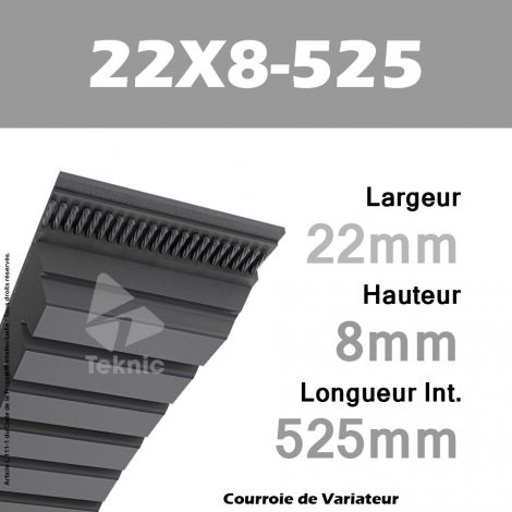 Courroie de Variateur 22X8-525 Li