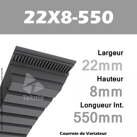 Courroie de Variateur 22X8-550 Li