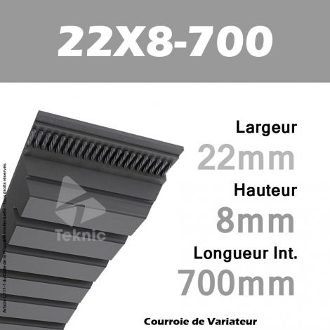 Courroie de Variateur 22X8-700 Li