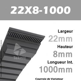 Courroie de Variateur 22X8-1000 Li