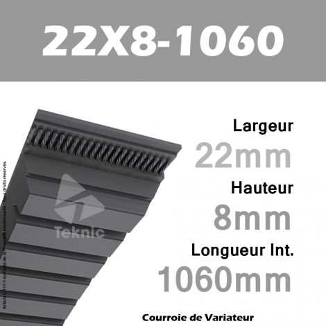 Courroie de Variateur 22X8-1060 Li