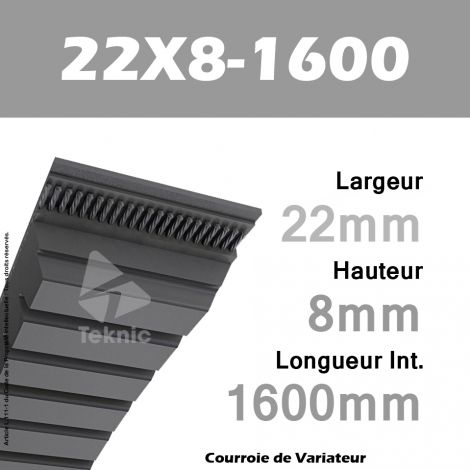 Courroie de Variateur 22X8-1600 Li