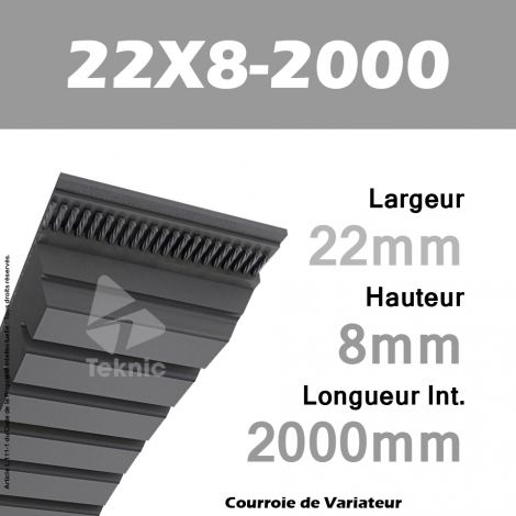 Courroie de Variateur 22X8-2000 Li