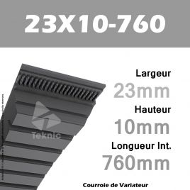 Courroie de Variateur 23X10-760 Li