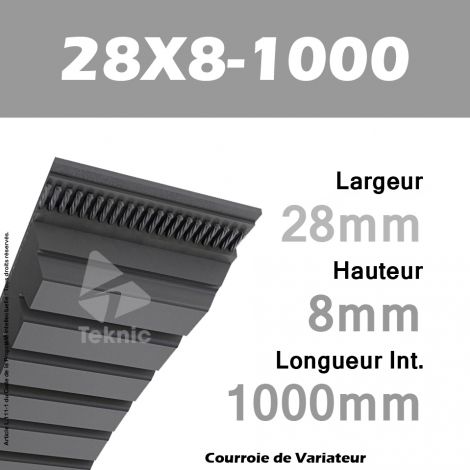 Courroie de Variateur 28X8-1000 Li