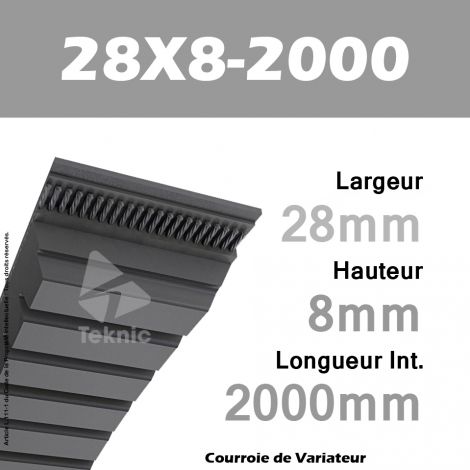 Courroie de Variateur 28X8-2000 Li