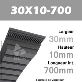 Courroie de Variateur 30X10-700 Li