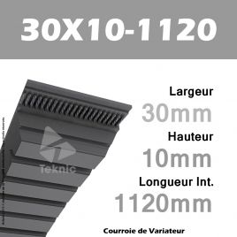 Courroie de Variateur 30X10-1120 Li