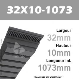 Courroie de Variateur 32X10-1073 Li