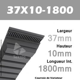 Courroie de Variateur 37X10-1800 Li