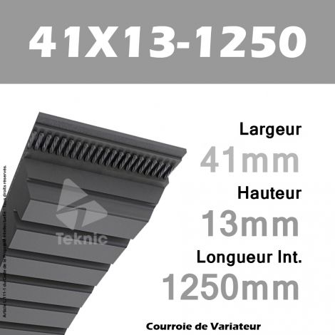 Courroie de Variateur 41X13-1250 Li