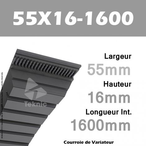 Courroie de Variateur 55X16-1600 Li
