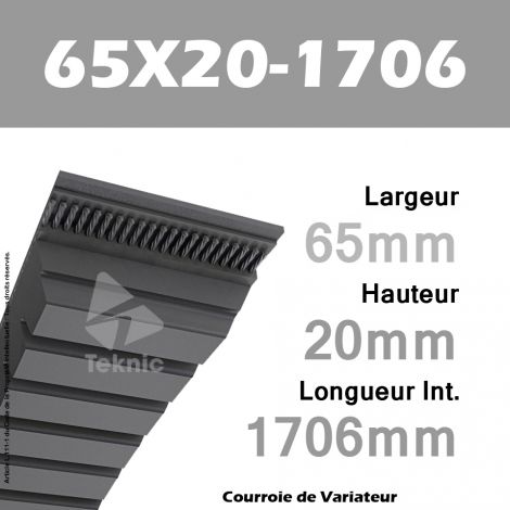 Courroie de Variateur 65X20-1706 Li