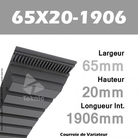 Courroie de Variateur 65X20-1906 Li