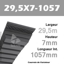 Courroie de Variateur 29,5X7-1057 Li